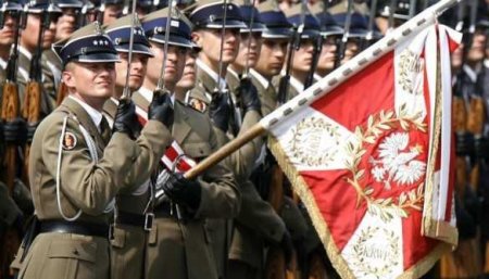 Польша намерена создать новый род войск